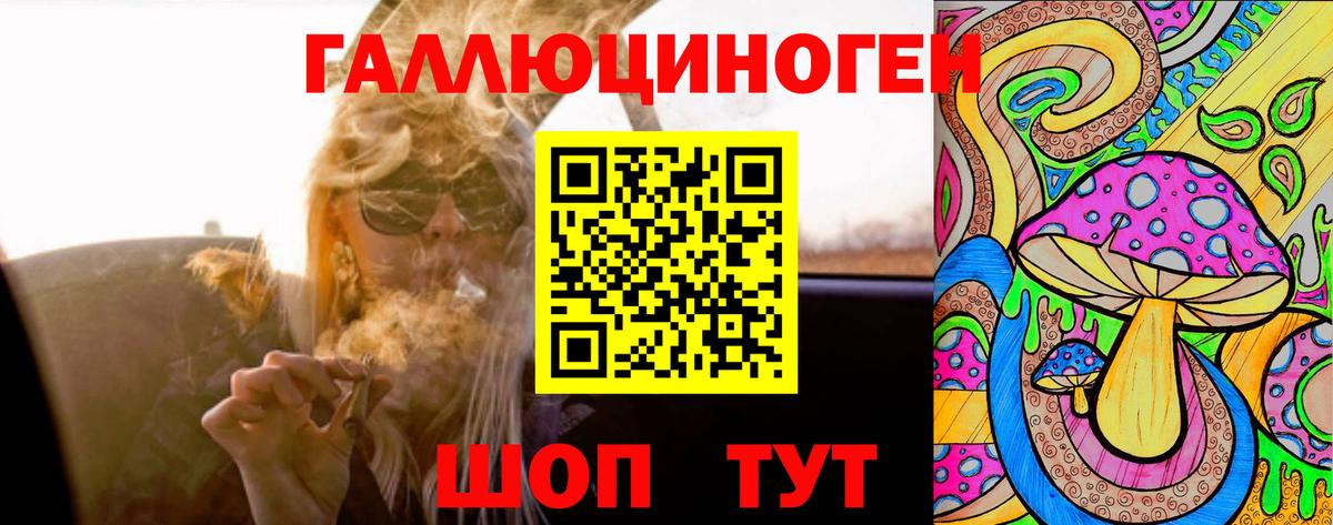 Галлюциногенные грибы Psilocybe Абакан