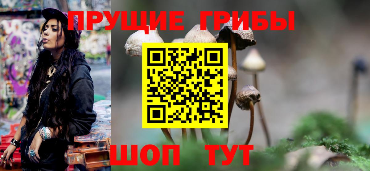 Абакан  Галлюциногенные грибы MAGIC MUSHROOMS  Псилоцибиновые грибы прущие грибы  Вход с VPN 